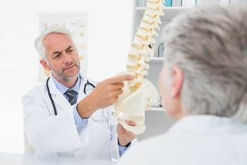 doctor pointing out to a patient specific bones on a skeletal model of the spine