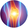colorful skeletal depiction of the knee