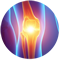 colorful skeletal depiction of the knee
