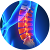 colorful skeletal depiction of the spine